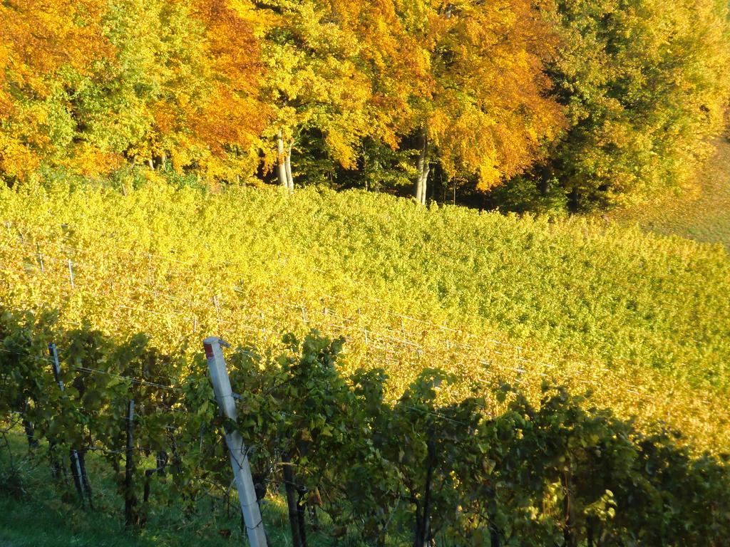 Ratsch an der Weinstraße Zweytick Gaestezimmer Weingut מראה חיצוני תמונה