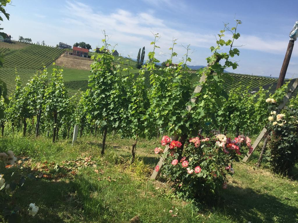 Ratsch an der Weinstraße Zweytick Gaestezimmer Weingut מראה חיצוני תמונה