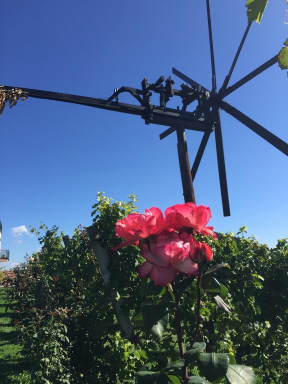 Ratsch an der Weinstraße Zweytick Gaestezimmer Weingut מראה חיצוני תמונה