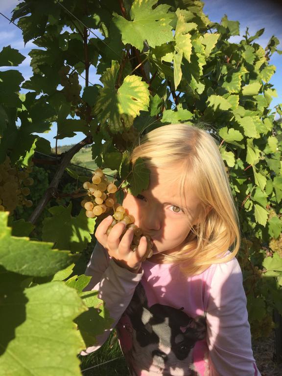 Ratsch an der Weinstraße Zweytick Gaestezimmer Weingut מראה חיצוני תמונה